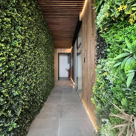 Boutique Palacio