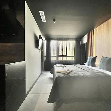 Boutique Palacio 招待所 阿利坎特