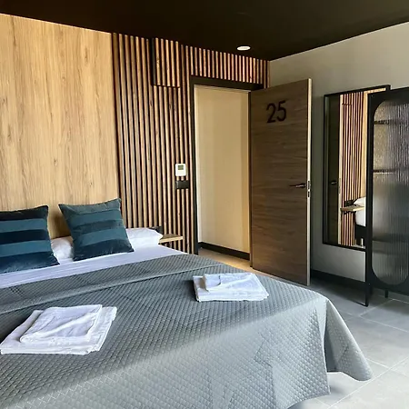 招待所 Boutique Palacio 3*
