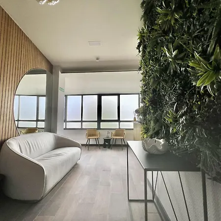 Boutique Palacio 招待所 阿利坎特